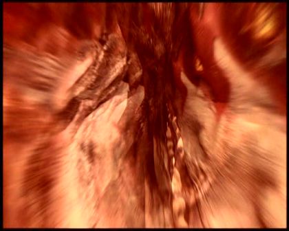 PDVD_6090.jpg