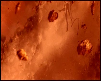 PDVD_6102.jpg