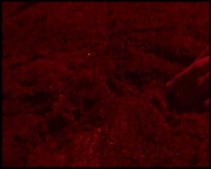 PDVD_6138.jpg