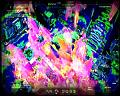 PDVD_4119