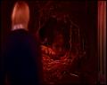 PDVD_4132