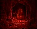 PDVD_4145