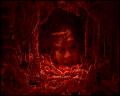 PDVD_4146
