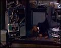 PDVD_4173