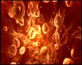PDVD_4192