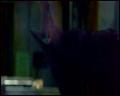 PDVD_4194