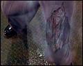 PDVD_4196