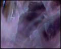 PDVD_4201