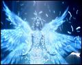 PDVD_4240
