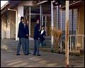 PDVD_4310