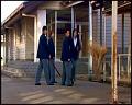 PDVD_4311