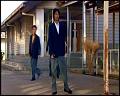 PDVD_4313