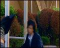 PDVD_4315