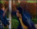 PDVD_4316