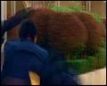 PDVD_4317