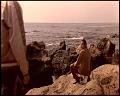 PDVD_4346