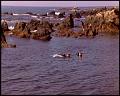 PDVD_4349