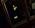 PDVD_4398