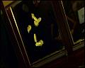 PDVD_4399
