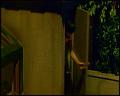 PDVD_4400