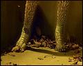 PDVD_4402