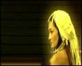 PDVD_4412