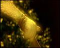 PDVD_4426