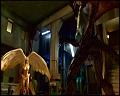 PDVD_4481