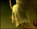 PDVD_4485