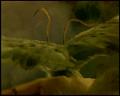 PDVD_4486