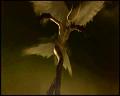 PDVD_4493