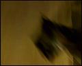 PDVD_4494