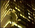 PDVD_4505