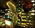 PDVD_4510