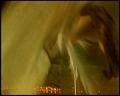 PDVD_4515