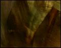 PDVD_4517