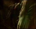 PDVD_4522