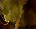 PDVD_4524