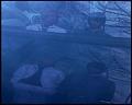 PDVD_4570
