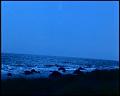 PDVD_4621