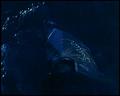 PDVD_4640