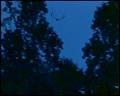 PDVD_4648