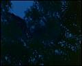 PDVD_4649