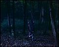 PDVD_4651