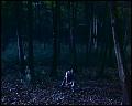 PDVD_4652