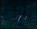 PDVD_4656