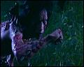 PDVD_4658