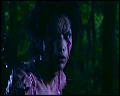 PDVD_4661