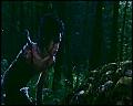 PDVD_4674