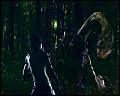 PDVD_4680